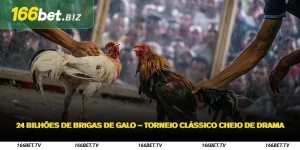 24 Bilhões de Brigas de Galo