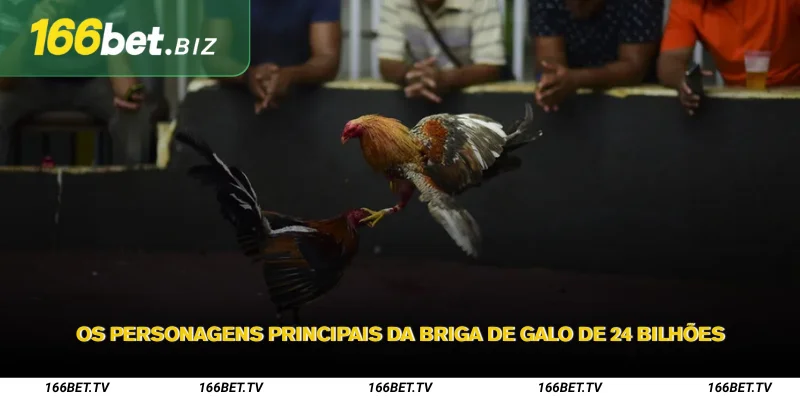 24 Bilhões de Brigas de Galo – Torneio Clássico Cheio de Drama 2 Os personagens principais da Briga de Galo de 24 Bilhões